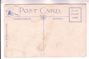 Cows Standing Beside River, Landscapes