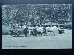 Singapore Road Works ROAD ROLLING by BULLOCKS Old Postcard by C. S. Co.