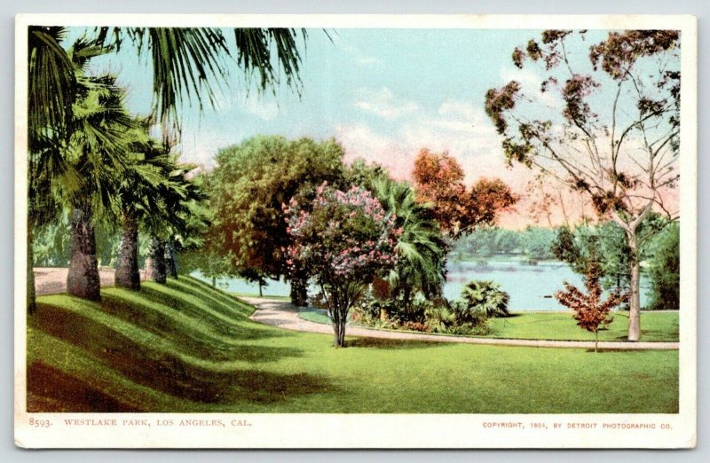 Los Angeles CA~Westlake Park~Path Thru Flowering Trees~1904 Detroit Pub #8593 