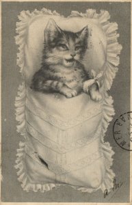 PC CATS, A CAT SLEEPING IN A PILLOW, Vintage Postcard (b47086)