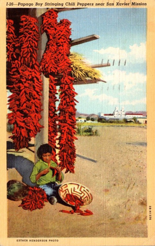 Arizona Papago Boy Stringing Chili Peppers Near San Xavier Mission 1946 Curteich