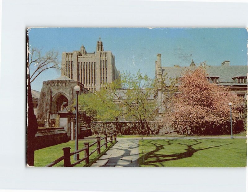 Postcard Berkeley College Court, Yale University, New Haven, Connecticut