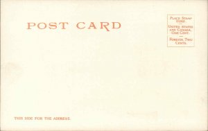 Memphis Tennessee TN Library 8611 Detroit Publishing c1910 Postcard