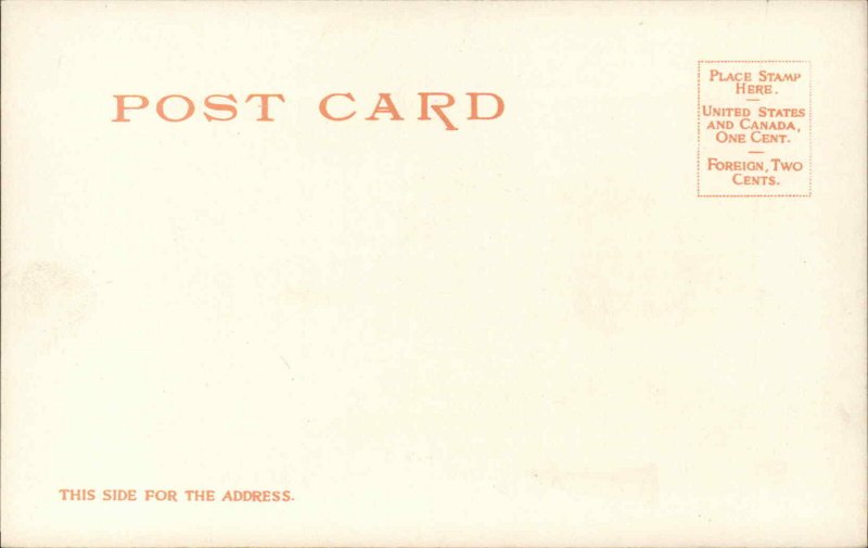 Memphis Tennessee TN Library 8611 Detroit Publishing c1910 Postcard