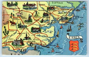 ESSEX Illustrated Map Cartograph ENGLAND UK 1978 Postcard