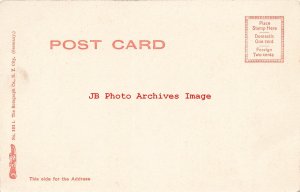 FL, Tamoka River, Florida, Tourist Excursion Boat Cherokee, Rotograph