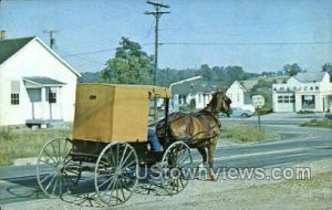 Amish Horse & Buggy - Amish Country, Pennsylvania PA  