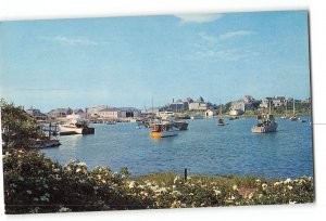 Cape Cod Massachusetts MA Vintage Postcard Wychmere Harbor