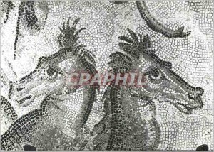 Modern Postcard Autun Musee Rolin Marine horses Roman mosaic found these in A...