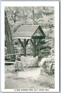 The 7 Caves Ohio 1950s Postcard Ye Olde Wishing Well Bainbridge