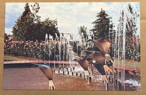 UNUSED POSTCARD - SCULPTURED FOUNTAIN, ROSE GARDEN, WAIKATO, NEW ZEALAND