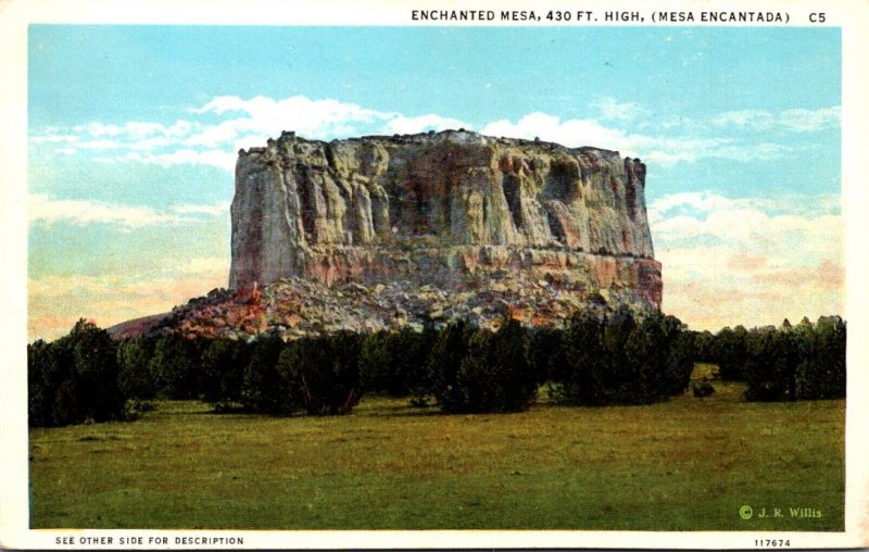 New Mexico Enchanted Mesa Curteich