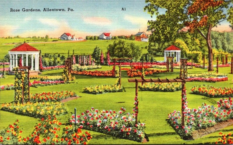 Pennsylvania Allentown Rose Gardens 1952