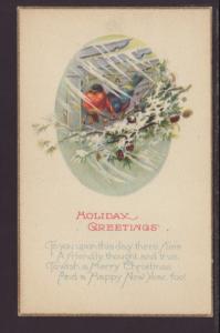 Holiday Greetings,Robin Postcard