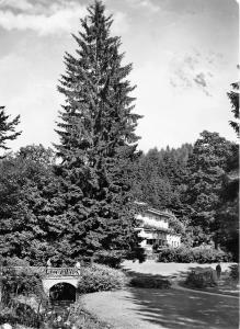 BG22089 bad sachsa im sudharz schones kurmittelhaus  germany CPSM 14.5x9cm