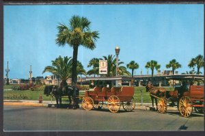 Horse Drawn Carriages,St Augustine,FL