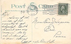 Young Moose Deer 1914 