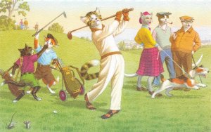 MAINZER Dressed Cats #4883  GOLF~GOLFING~DOG  Belgium  ANTHROPOMORPHIC Postcard