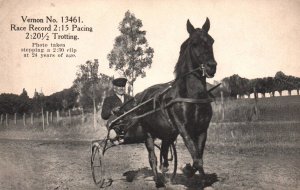 Horse Trotter Vernon No 13461