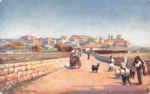 Citta Vecchia Panorama Malta 1910s Tuck postcard