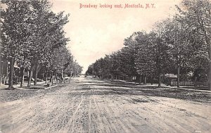 Broadway Monticello Looking East New York  