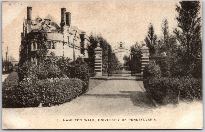 University of Pennsylvania PA, Hamilton Walk, Entrance, Plants, Vintage Postcard