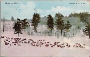 Elk On The Move c1913 Antique Postcard E28 *As Is