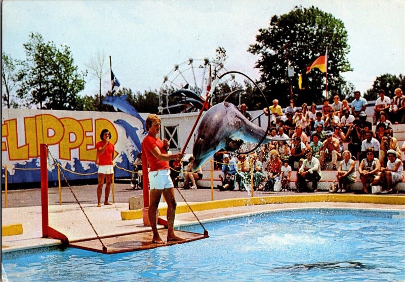 Dolphin Pool, Parc Safari Africain, Safari Park Hemmingford Que Postcard J45