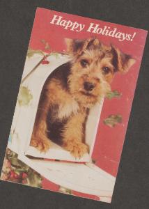 Happy Holidays Dog Postcard Terrier Puppy North Shore Animal League