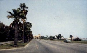 Beatiful Ocean Drive - Corpus Christi, Texas