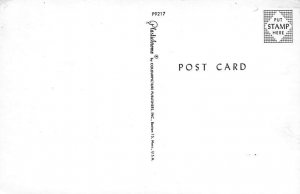 Cat Comic Coletta Cat Postcard