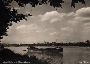 Aus Rhein bei Mauerheim,Germany BIN