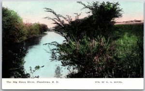 1908 The Big Sioux River Flandreau South Dakota SD Forest Trees Posted Postcard