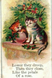1880's-90's Victorian Card Poem Two Adorable Cats Holly P184