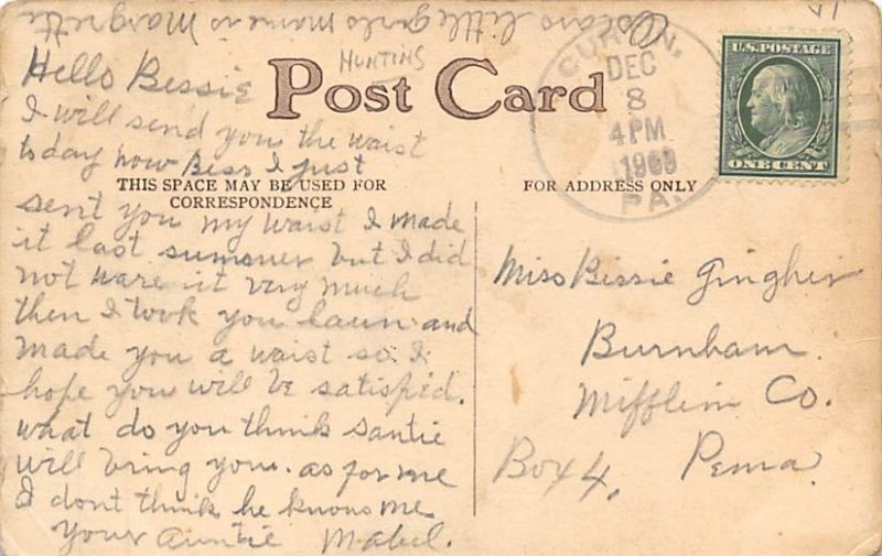 Beagles, Horses View Images 