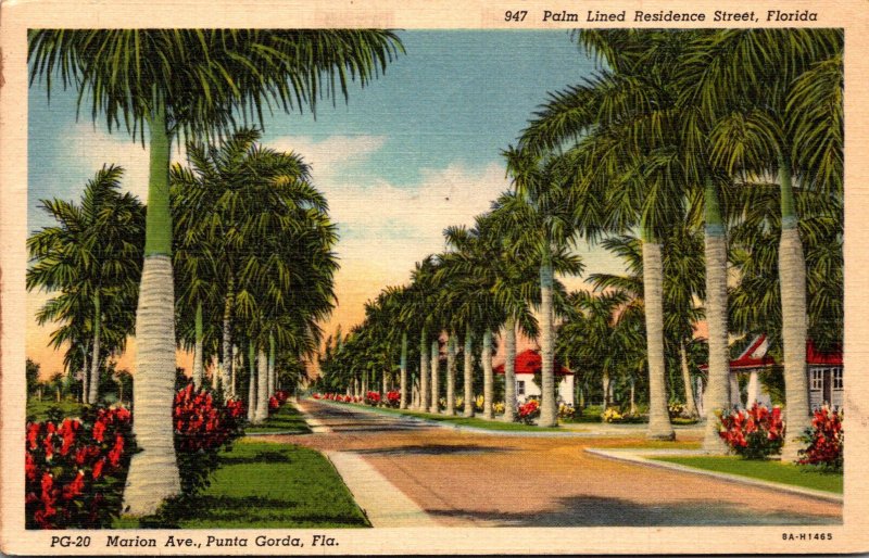 Florida Punta Gorda Marion Avenue 1940 Curteich