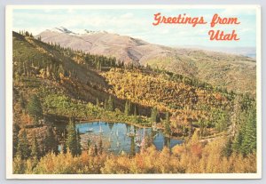 Northern Utah~Farmington Lake & Francis Peak~Continental Postcard