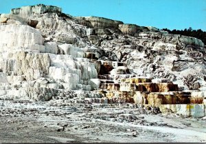 Yellowstone National Park Minerva Terrace