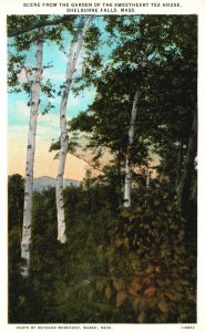 Vintage Postcard Scene From Garden of the Sweetheart Tea House Shelburne MA