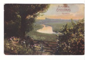 A Peaceful Christmas To You, Rural Scene, Vintage 1906 Postcard