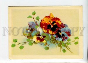 3142599 PANSY Viola tricolor Charming Flowers Old russian PC