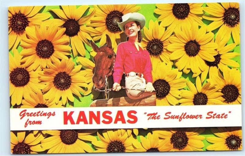 *Greetings from Kansas The Sunflower State Cowgirl Sunflowers Horse Postcard B82