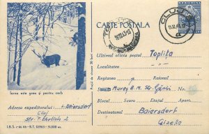 Romania postal stationery postcard stag in winter