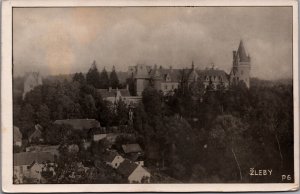 Czech Republic Žleby Castle Vintage RPPC C161