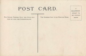 Art Postcard TM Abbott violin singer