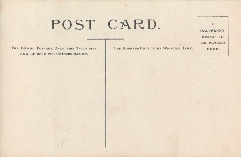 Art Postcard TM Abbott violin singer