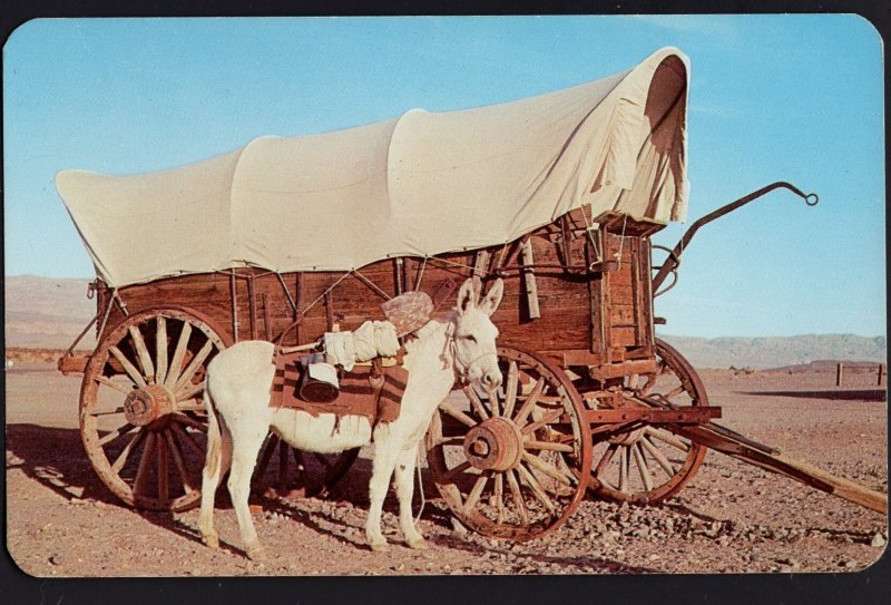 A Scene from the Old West - Covered Wagon - Donkey - Miner Gear ~ Chrome