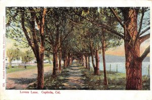 CAPTIOLA CA California LOVERS LANE Tree Lined Street SANTA CRUZ CO 1908 Postcard