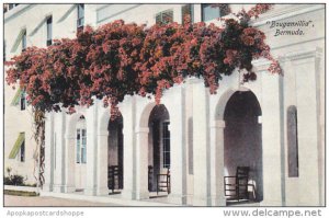 Bermuda Beautiful Home With Bouganvillia