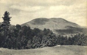 Green Mountain Edition - Arlington, Vermont VT Postcard